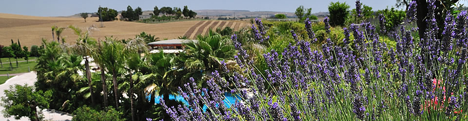 Hiltono Garden Inn Matera