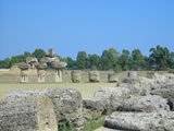 Tempio di Apollo Licio - Metaponto